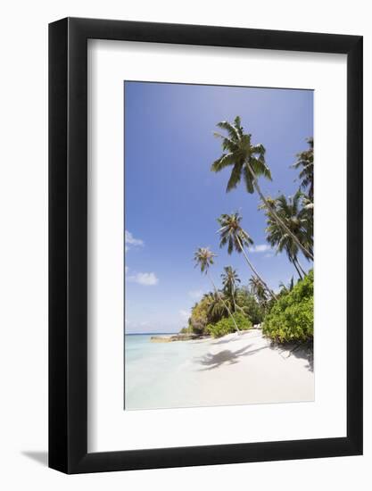 Palm trees lean over white sand, under a blue sky, on Bandos Island in The Maldives, Indian Ocean,-Stuart Forster-Framed Photographic Print