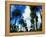 Palm Trees Lining Street-Randy Faris-Framed Premier Image Canvas