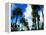 Palm Trees Lining Street-Randy Faris-Framed Premier Image Canvas