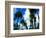 Palm Trees Lining Street-Randy Faris-Framed Photographic Print