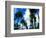 Palm Trees Lining Street-Randy Faris-Framed Photographic Print