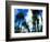 Palm Trees Lining Street-Randy Faris-Framed Photographic Print