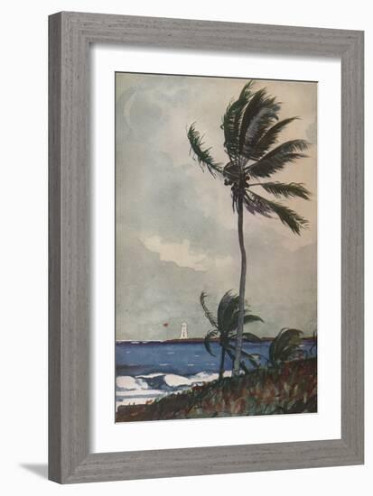 'Palm Trees, Nassau', 1898, (1932)-Winslow Homer-Framed Giclee Print