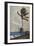 'Palm Trees, Nassau', 1898, (1932)-Winslow Homer-Framed Giclee Print