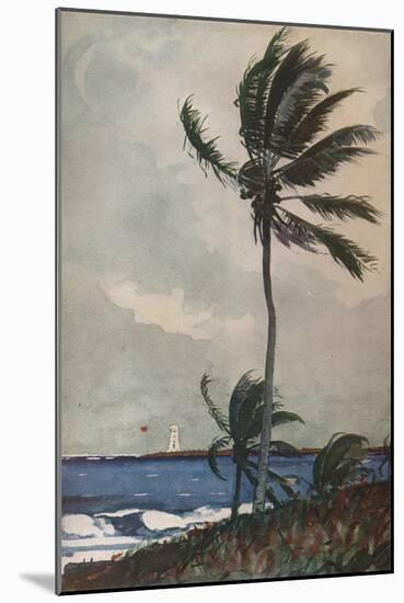 'Palm Trees, Nassau', 1898, (1932)-Winslow Homer-Mounted Giclee Print