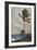 'Palm Trees, Nassau', 1898, (1932)-Winslow Homer-Framed Giclee Print