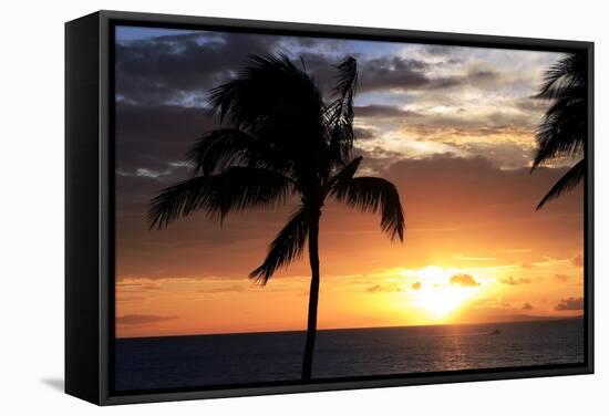 Palm Trees on a Beach At Sunset-Michael Szoenyi-Framed Premier Image Canvas