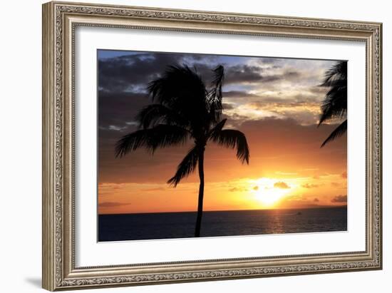 Palm Trees on a Beach At Sunset-Michael Szoenyi-Framed Photographic Print