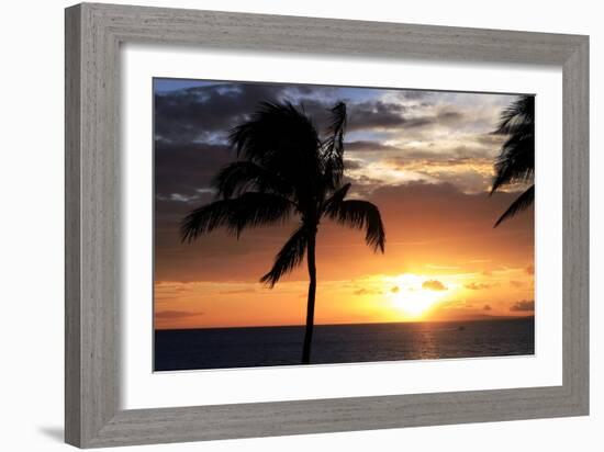 Palm Trees on a Beach At Sunset-Michael Szoenyi-Framed Photographic Print