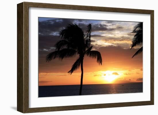 Palm Trees on a Beach At Sunset-Michael Szoenyi-Framed Photographic Print