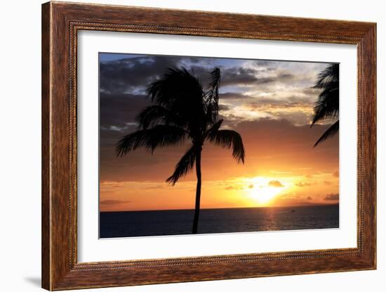 Palm Trees on a Beach At Sunset-Michael Szoenyi-Framed Photographic Print