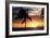 Palm Trees on a Beach At Sunset-Michael Szoenyi-Framed Photographic Print