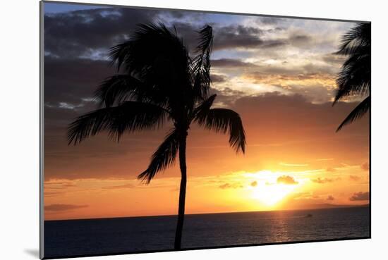 Palm Trees on a Beach At Sunset-Michael Szoenyi-Mounted Photographic Print