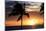 Palm Trees on a Beach At Sunset-Michael Szoenyi-Mounted Photographic Print