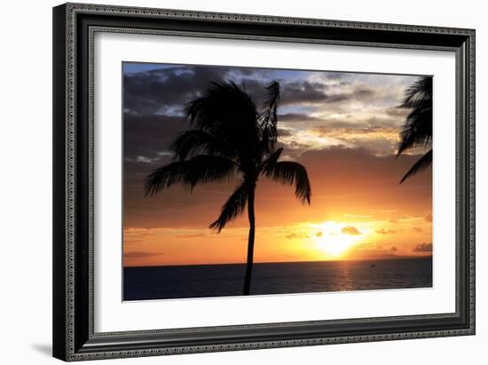 Palm Trees on a Beach At Sunset-Michael Szoenyi-Framed Photographic Print