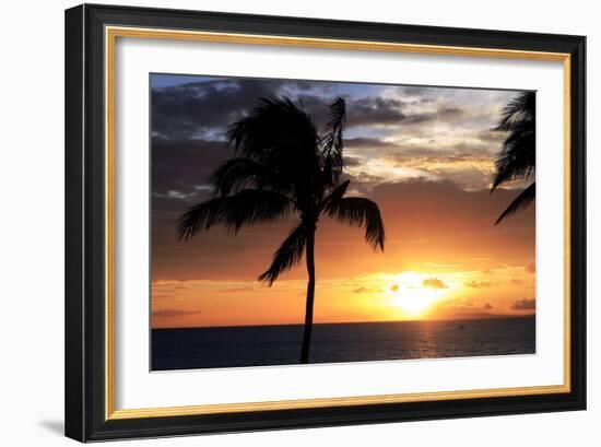 Palm Trees on a Beach At Sunset-Michael Szoenyi-Framed Photographic Print