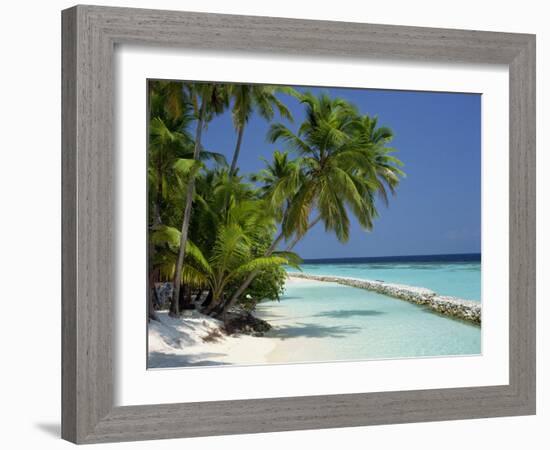 Palm Trees on a Tropical Beach in the Maldive Islands, Indian Ocean-Scholey Peter-Framed Photographic Print