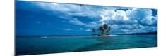 Photographic Print