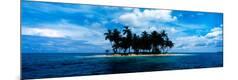 Photographic Print