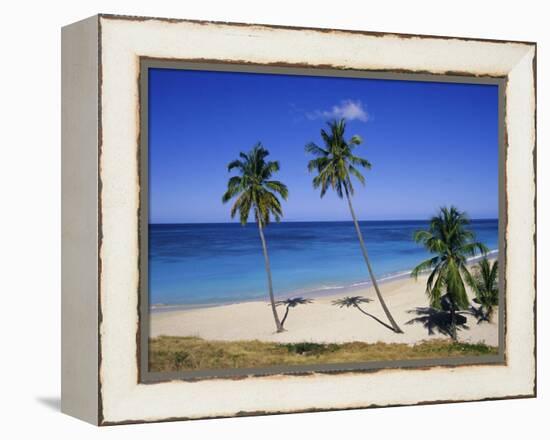 Palm Trees on Beach, Antigua, Caribbean, West Indies, Central America-Firecrest Pictures-Framed Premier Image Canvas