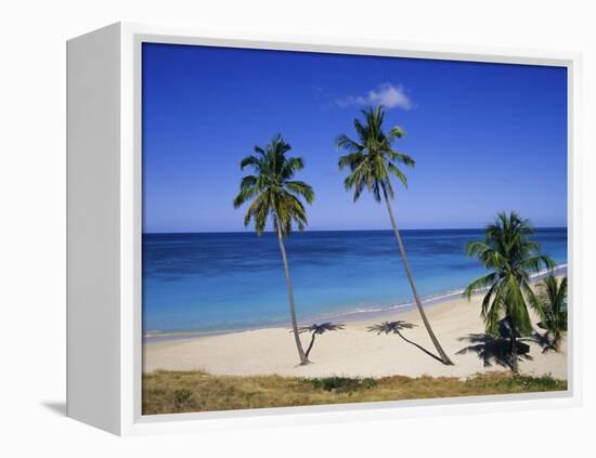 Palm Trees on Beach, Antigua, Caribbean, West Indies, Central America-Firecrest Pictures-Framed Premier Image Canvas