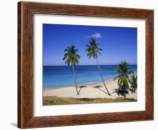 Palm Trees on Beach, Antigua, Caribbean, West Indies, Central America-Firecrest Pictures-Framed Photographic Print