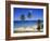 Palm Trees on Beach, Antigua, Caribbean, West Indies, Central America-Firecrest Pictures-Framed Photographic Print