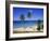 Palm Trees on Beach, Antigua, Caribbean, West Indies, Central America-Firecrest Pictures-Framed Photographic Print