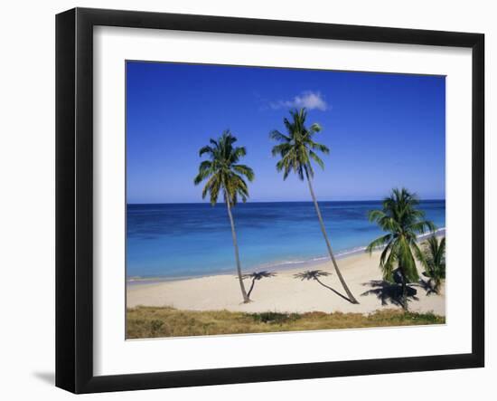 Palm Trees on Beach, Antigua, Caribbean, West Indies, Central America-Firecrest Pictures-Framed Photographic Print