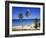 Palm Trees on Beach, Antigua, Caribbean, West Indies, Central America-Firecrest Pictures-Framed Photographic Print