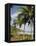 Palm Trees on Beach at Punta Islita, Nicoya Pennisula, Pacific Coast, Costa Rica, Central America-R H Productions-Framed Premier Image Canvas