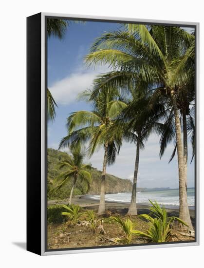 Palm Trees on Beach at Punta Islita, Nicoya Pennisula, Pacific Coast, Costa Rica, Central America-R H Productions-Framed Premier Image Canvas