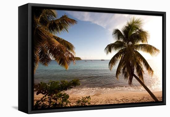 Palm Trees on Beach at Sunset, Culebra Island, Puerto Rico-null-Framed Premier Image Canvas