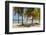 Palm trees on beach, Britannia Bay, Mustique, Saint Vincent And The Grenadines-null-Framed Photographic Print