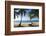 Palm Trees on Beach, Las Terrenas, Samana Peninsula, Dominican Republic-Massimo Borchi-Framed Photographic Print