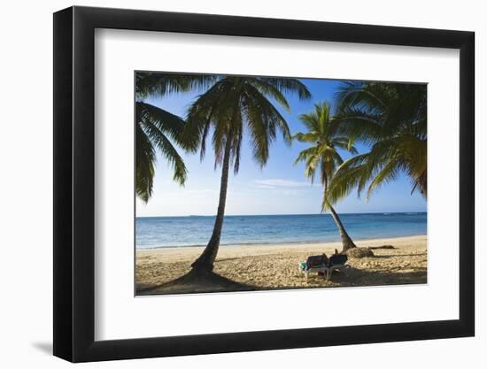 Palm Trees on Beach, Las Terrenas, Samana Peninsula, Dominican Republic-Massimo Borchi-Framed Photographic Print