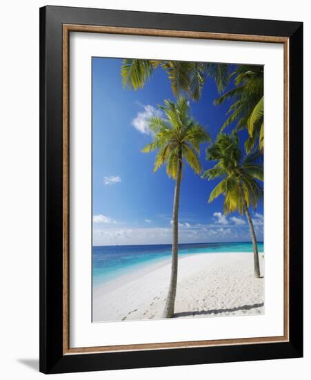 Palm Trees on Beach, Maldives, Indian Ocean, Asia-Sakis Papadopoulos-Framed Photographic Print