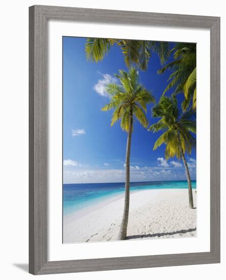 Palm Trees on Beach, Maldives, Indian Ocean, Asia-Sakis Papadopoulos-Framed Photographic Print