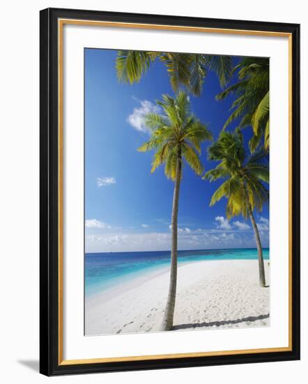 Palm Trees on Beach, Maldives, Indian Ocean, Asia-Sakis Papadopoulos-Framed Photographic Print