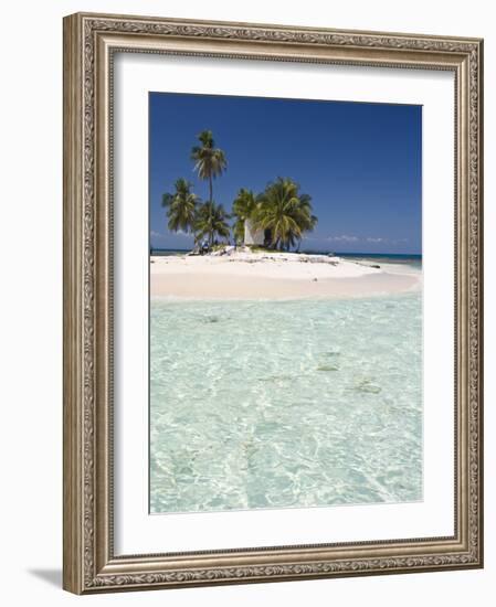 Palm Trees on Beach, Silk Caye, Belize, Central America-Jane Sweeney-Framed Photographic Print