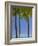 Palm Trees on Beach-Jonathan Hicks-Framed Photographic Print