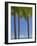 Palm Trees on Beach-Jonathan Hicks-Framed Photographic Print