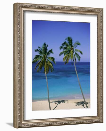 Palm Trees on Deserted Beach, Antigua, Caribbean, West Indies, Central America-Firecrest Pictures-Framed Photographic Print