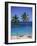 Palm Trees on Deserted Beach, Antigua, Caribbean, West Indies, Central America-Firecrest Pictures-Framed Photographic Print