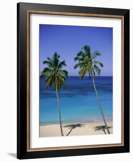 Palm Trees on Deserted Beach, Antigua, Caribbean, West Indies, Central America-Firecrest Pictures-Framed Photographic Print