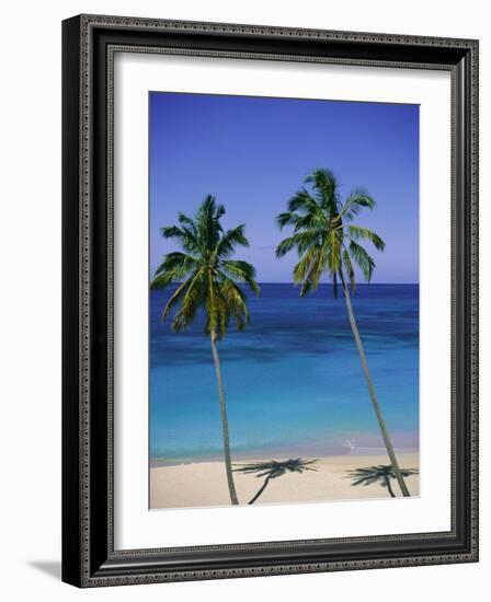 Palm Trees on Deserted Beach, Antigua, Caribbean, West Indies, Central America-Firecrest Pictures-Framed Photographic Print