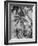 Palm Trees on Ellice Islands, Tuvalu-Peter Stackpole-Framed Photographic Print