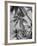 Palm Trees on Ellice Islands, Tuvalu-Peter Stackpole-Framed Photographic Print