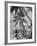 Palm Trees on Ellice Islands, Tuvalu-Peter Stackpole-Framed Photographic Print