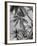 Palm Trees on Ellice Islands, Tuvalu-Peter Stackpole-Framed Photographic Print